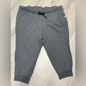 Torrid Active Heather Gray Joggers